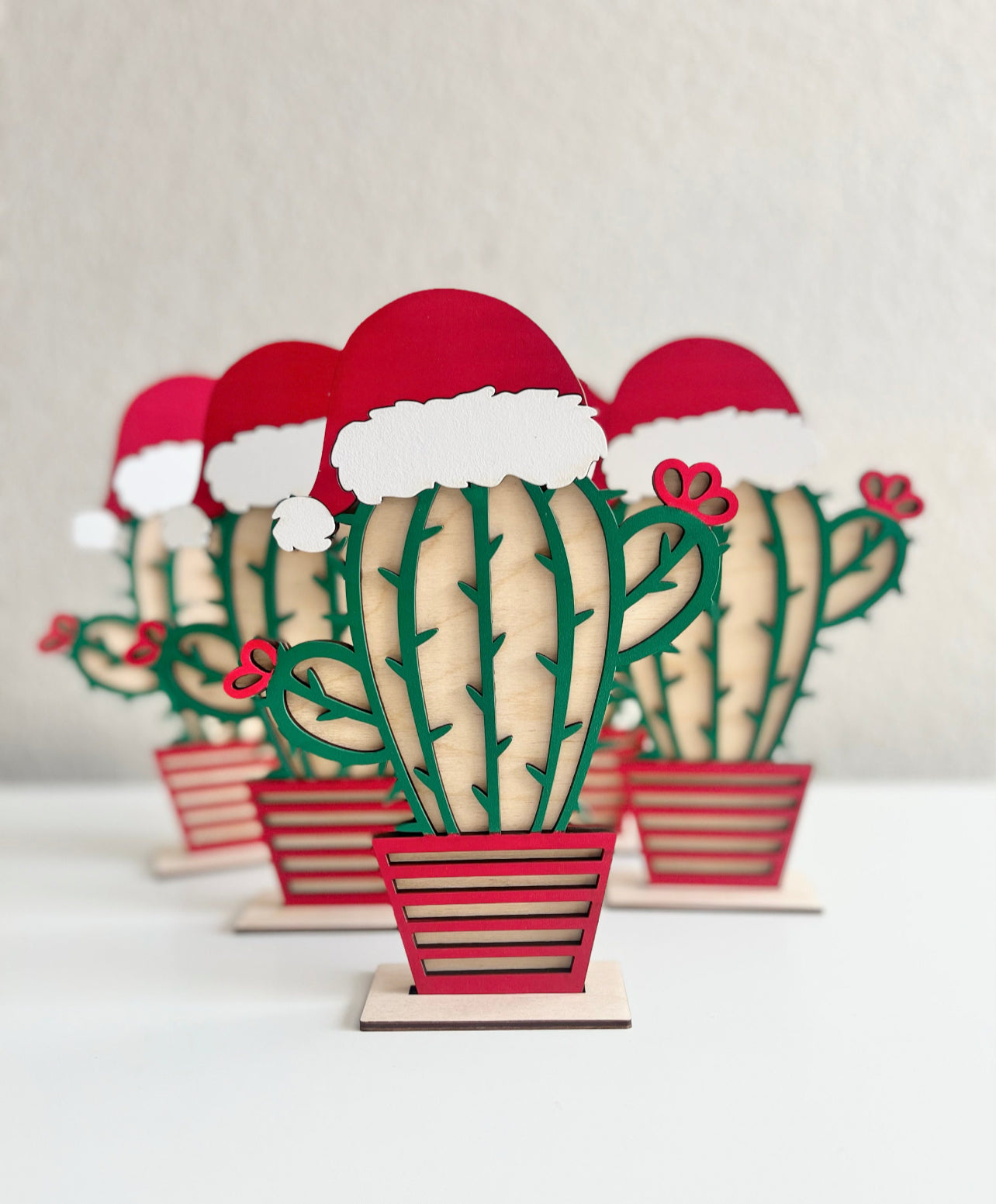 Christmas cactus