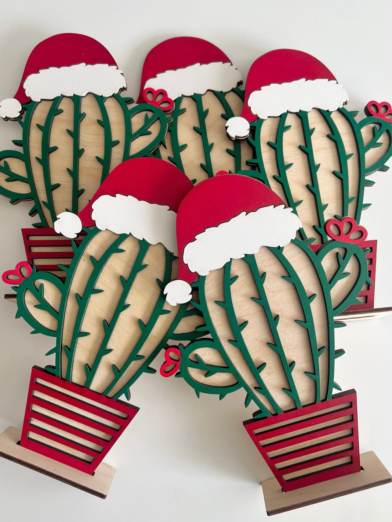 Christmas cactus